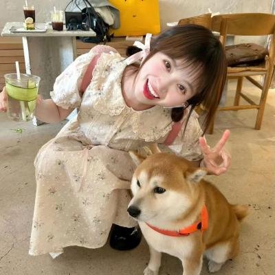 棉尾兔